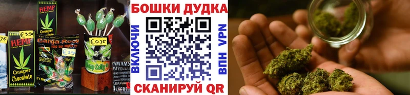 мега ссылки  Новосиль  Canna-Cookies марихуана 