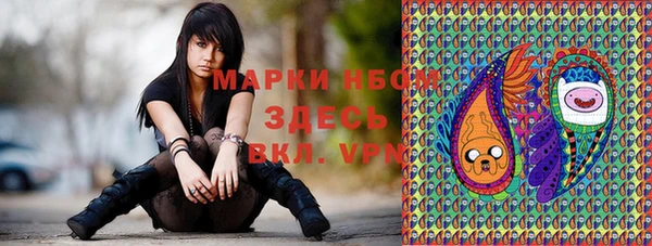 дмт Алексин