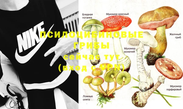 кристаллы Абаза