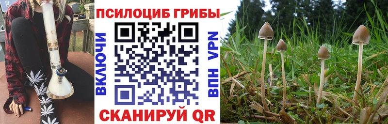 Псилоцибиновые грибы мухоморы  купить   Новосиль 